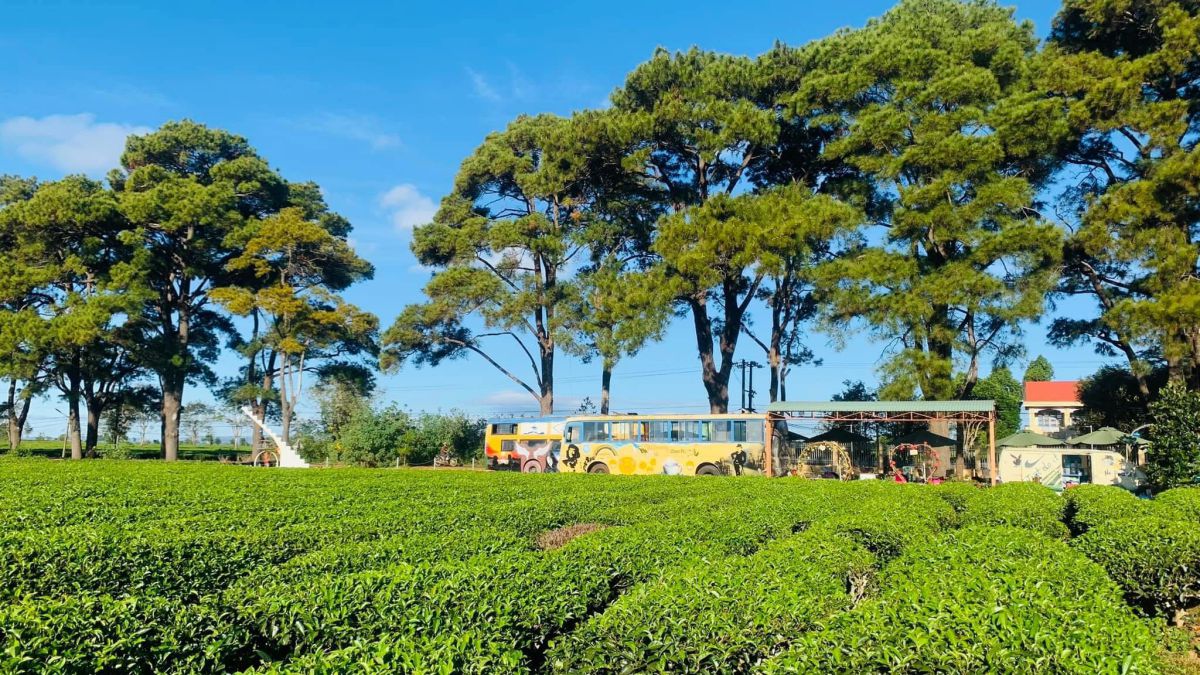 Biển Hồ Chè – Chư Păh: Vẻ đẹp nên thơ giữa lòng Pleiku